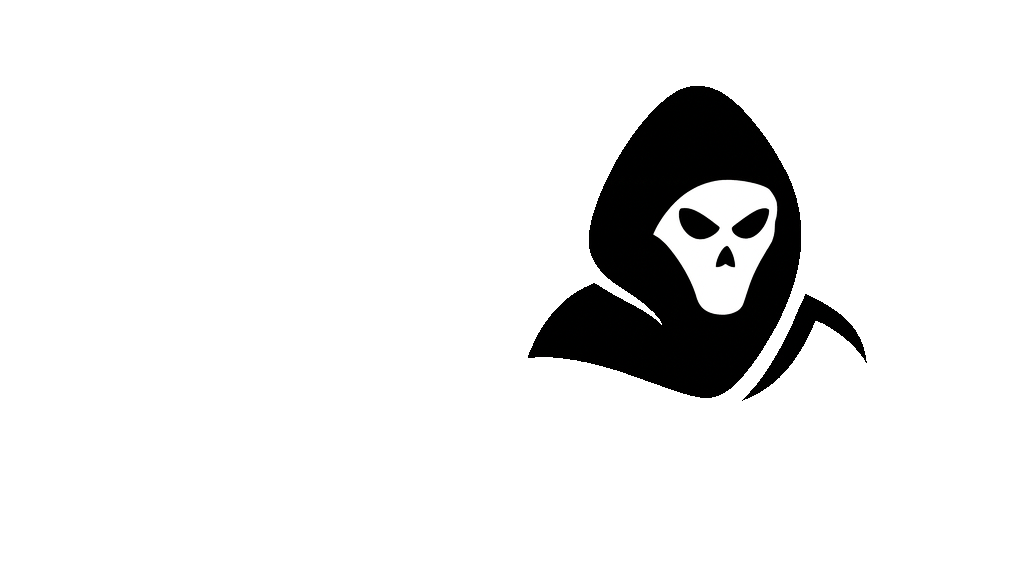 FSI Silent Logo